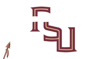 Florida State Football Fsu GIF by Florida State University