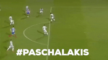 paokfamily paschalakis GIF by PAOK FC