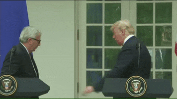 donald trump GIF by euronews