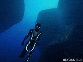 diving swimming GIF by Beyond Blue