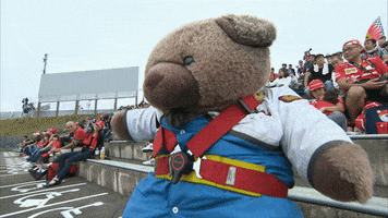 Teddy Bear Hello GIF by Formula 1