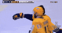 Pekka-rinne GIFs - Get the best GIF on GIPHY