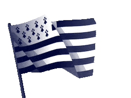 Flag Waving Sticker