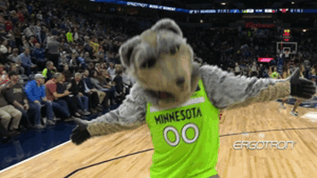lets go mascot GIF by NBA