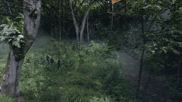 GIF by CBS