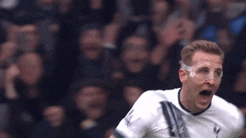 come on you spurs harry kane GIF by Tottenham Hotspur