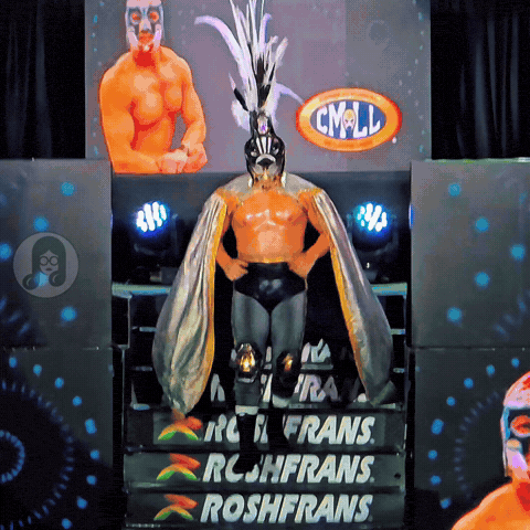Lucha Libre Puebla GIF
