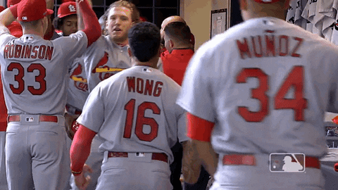 St Louis Cardinals Baseball GIF by MLB - Find & Share on GIPHY