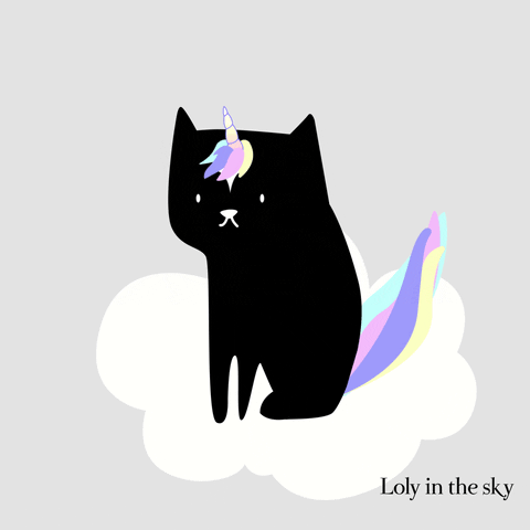 Unicorn Cat GIFs Get The Best GIF On GIPHY
