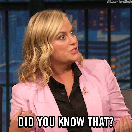 Did You Know GIFs Get The Best GIF On GIPHY