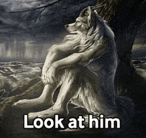 Lonely Wolf GIF