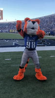College Sports Sport GIF by University of Memphis