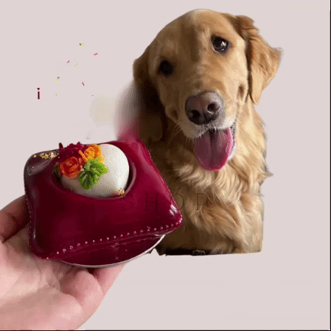 Happydog Dogcake GIF by Mishkacakes & more