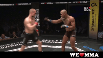 fight kick GIF by We love MMA