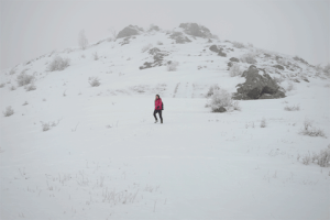 Winter Running Through The Snow GIF