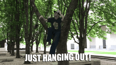 giphy.gif