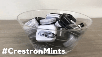tradeshow Mints GIF by Crestron
