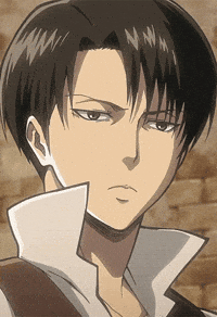 Mikasa Attack On Titan Gifs Get The Best Gif On Giphy