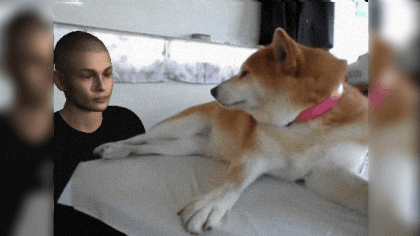 Dog Best Friend Gifs Get The Best Gif On Giphy