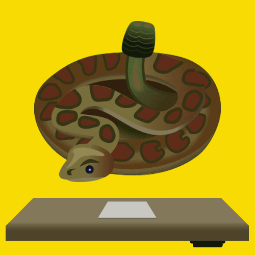 Cute Snake Cartoon Animated GIFs Collection