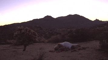 Sleep Love GIF by REMA Films