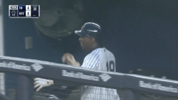 Yankee Stadium Yankees GIF by Jomboy Media