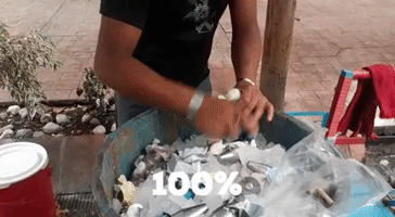 Mexico Rico GIF