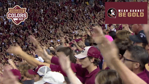 College Sports Gameday GIF by College Colors Day - Find & Share on GIPHY