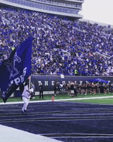 College Sports Sport GIF by University of Memphis