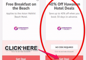 "Hawaiian Airlines Phone Number" GIF