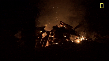 Season 8 Fire GIF by National Geographic Channel