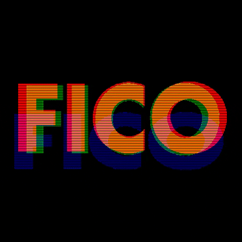 fico meaning, definitions, synonyms