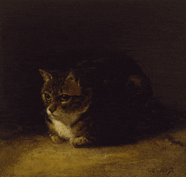 Cat GIF by Ashmolean Museum