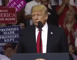 Trump Yes GIF