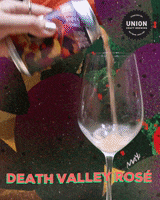 Death Valley Beer Unites GIF by UNION Craft Brewing