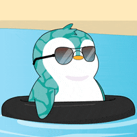 No Way What GIF by Pudgy Penguins