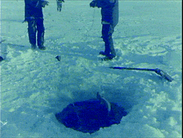 vintage cmhgif GIF by Canadian Museum of History