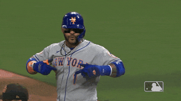 Represent Ny Mets GIF by New York Mets