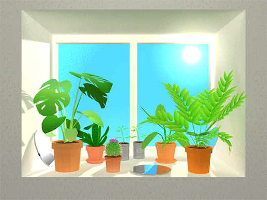 House Plants GIFs - Get the best GIF on GIPHY