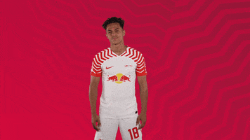 Football What GIF by RB Leipzig