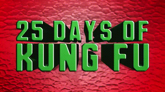 25 days of kung fu
