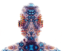 amyoxmx mdbbb GIF