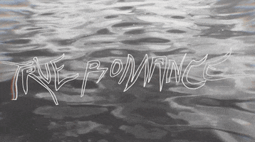 true romance love GIF by Vacation Forever