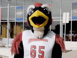 200.gif?cid=fc005b085e4ea3ed1562c8244582daf82259593510409b82&rid=200.gif&ct=g