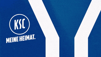 Head Coach Soccer GIF by Karlsruher SC