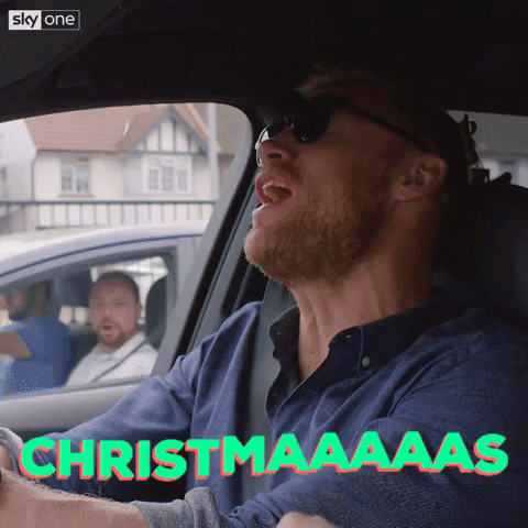 excited merry christmas GIF by Sky
