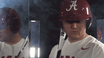 200.gif?cid=fc005b08d833b4f6acac8a2ff114b0a2d9ba723362c790ff&rid=200.gif&ct=g