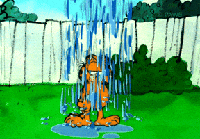Its Raining GIF by Garfield