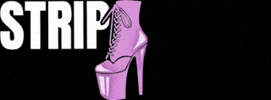 Stripdancecamppoland GIF