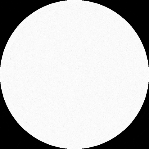 The Slotts GIF